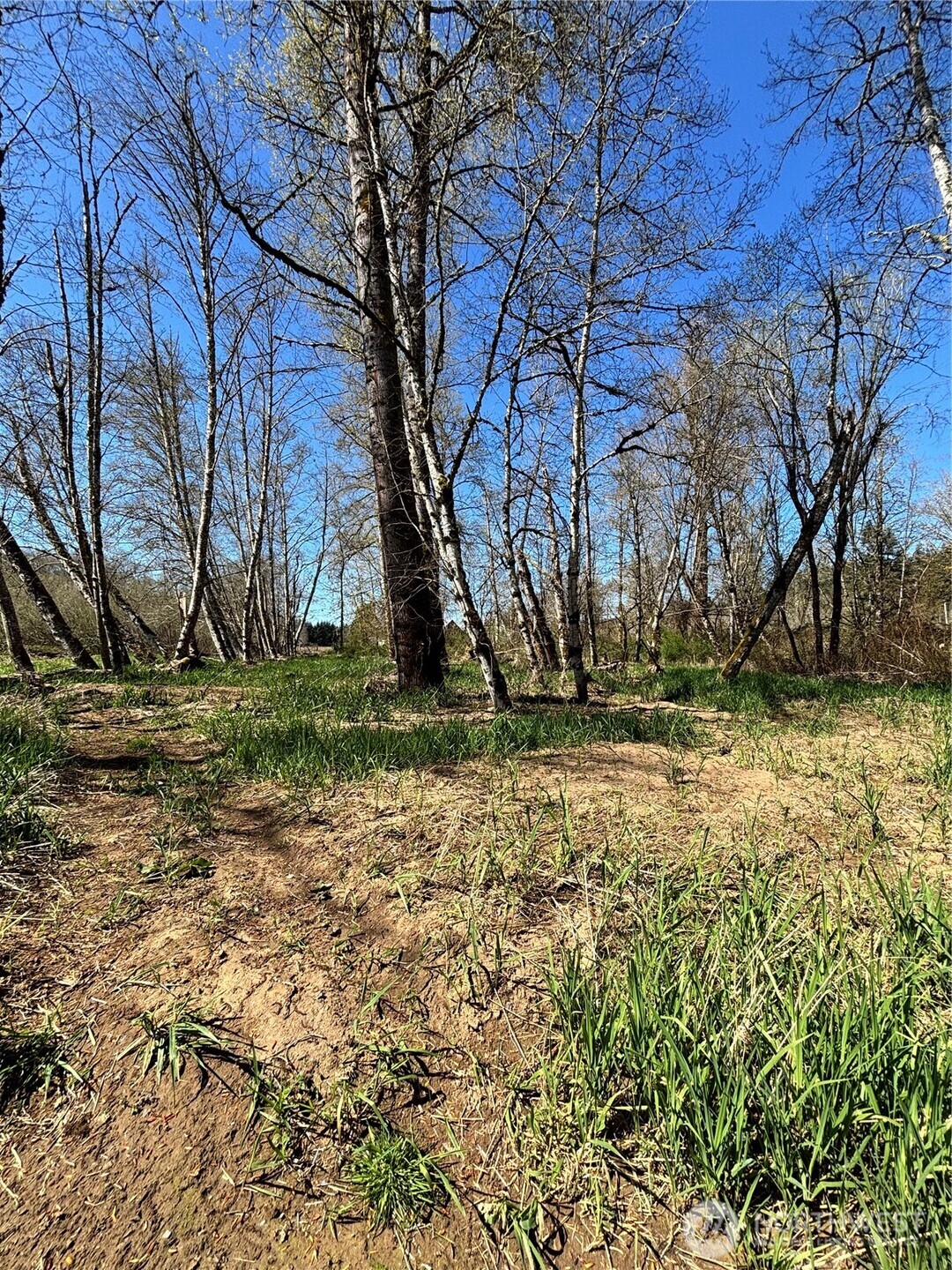 1554 State Route 508 Property Photo 23