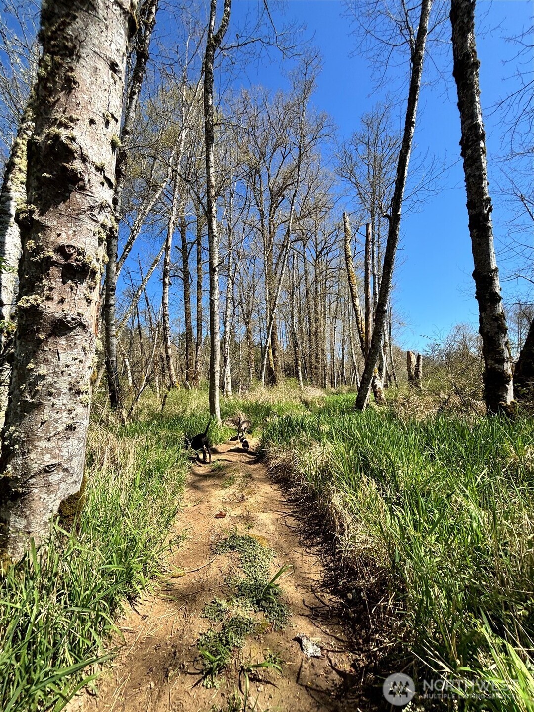1554 State Route 508 Property Photo 25
