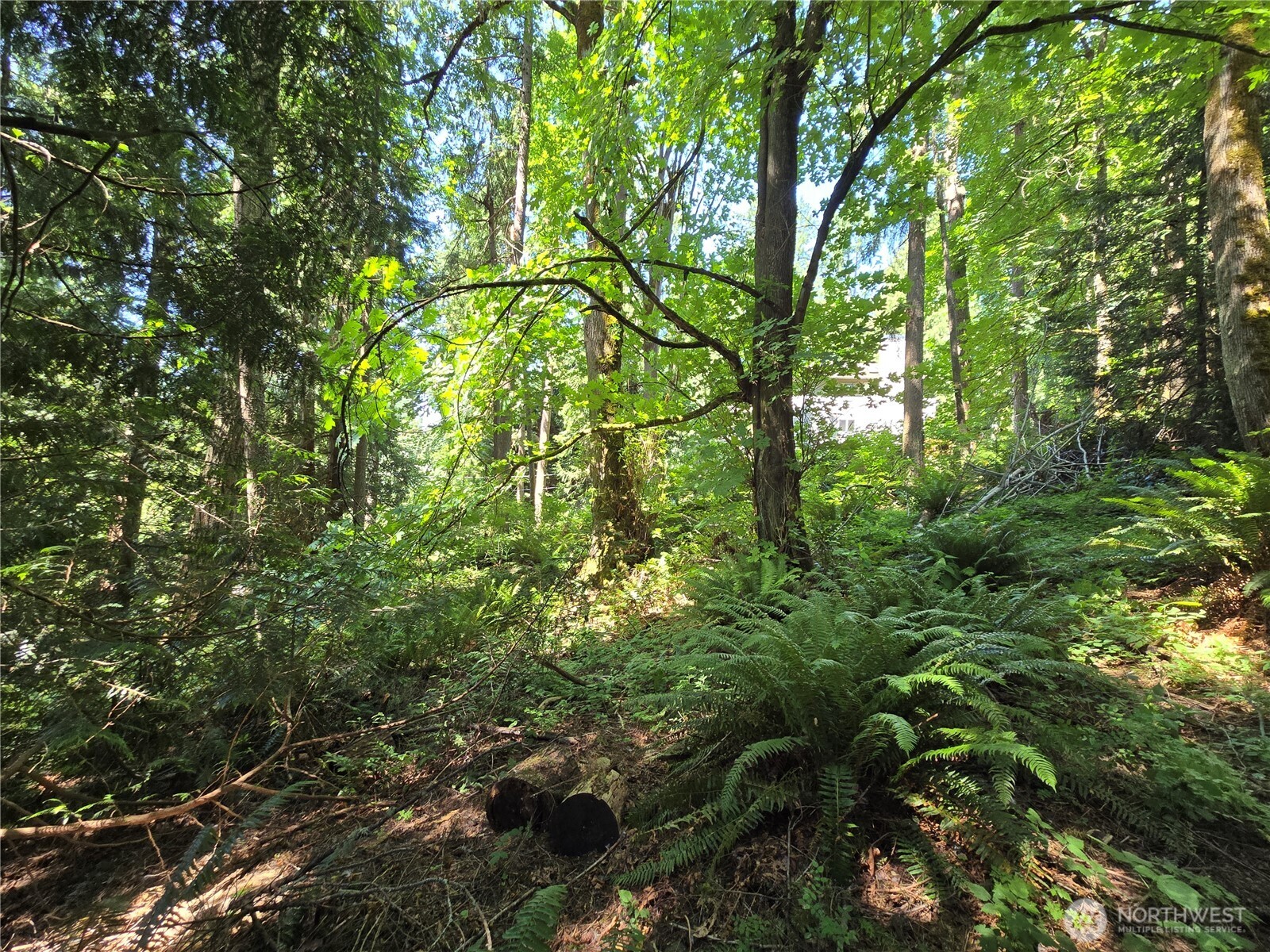 100 210th Avenue Property Photo 6