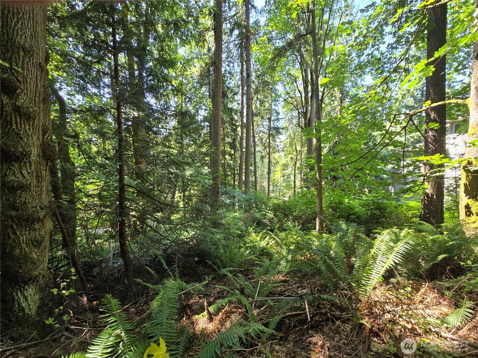 100 210th Avenue Property Photo 11