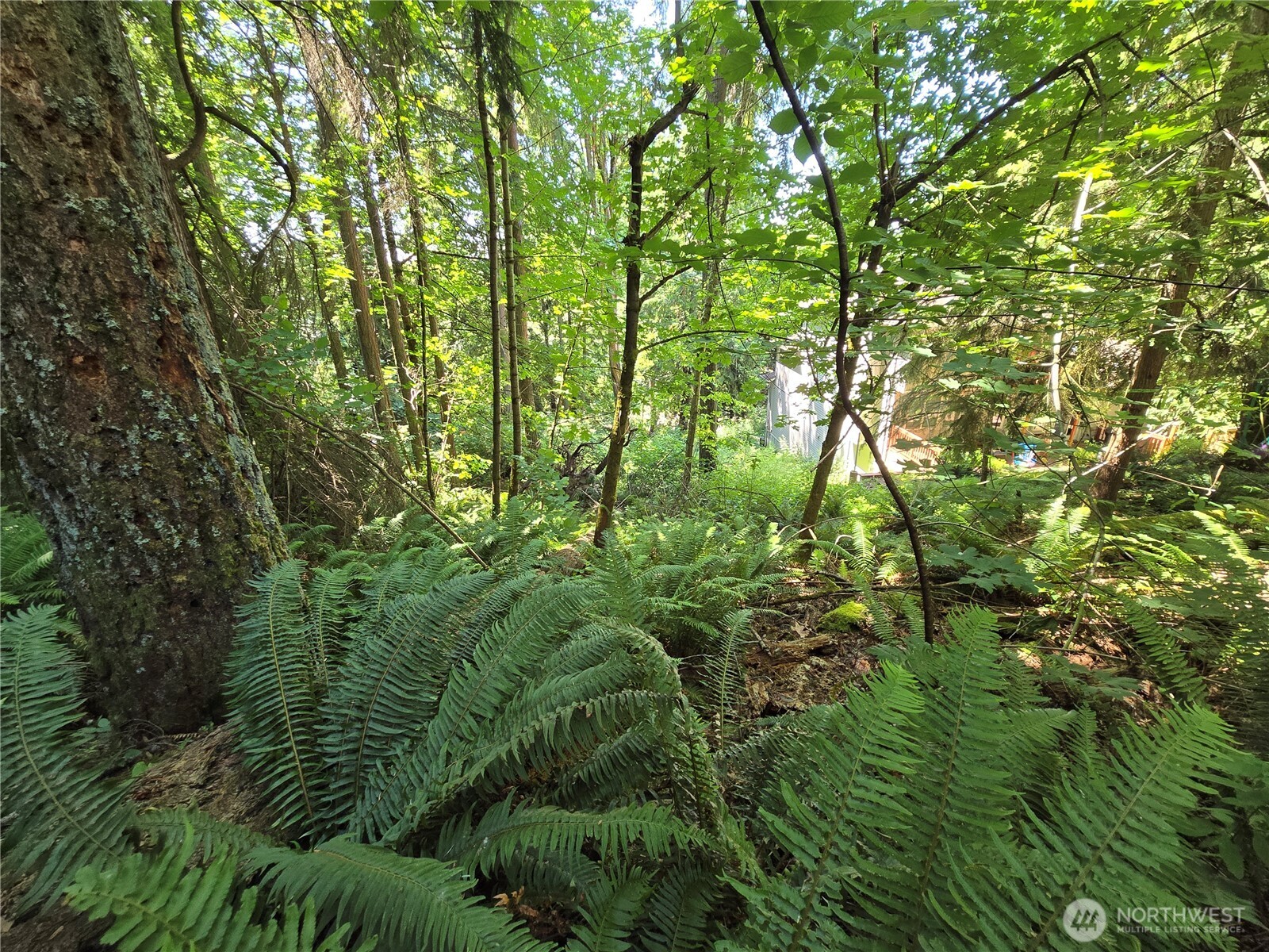 100 210th Avenue Property Photo 14