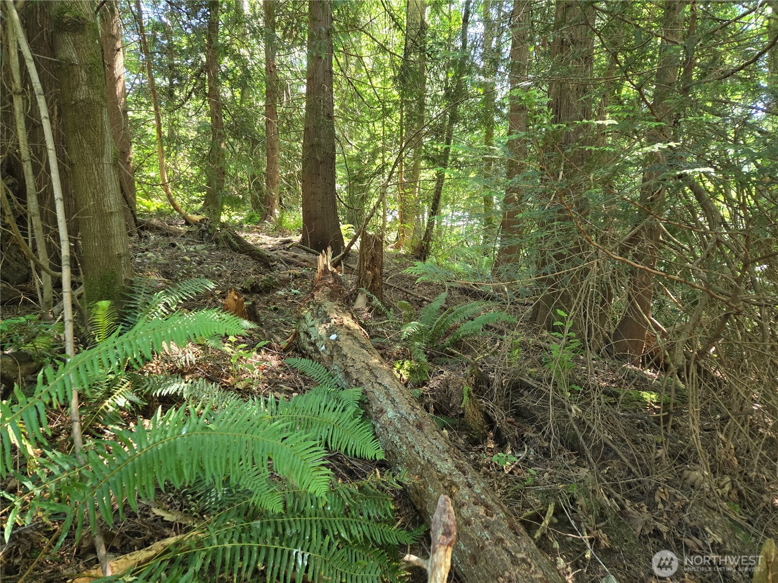 100 210th Avenue Property Photo 18