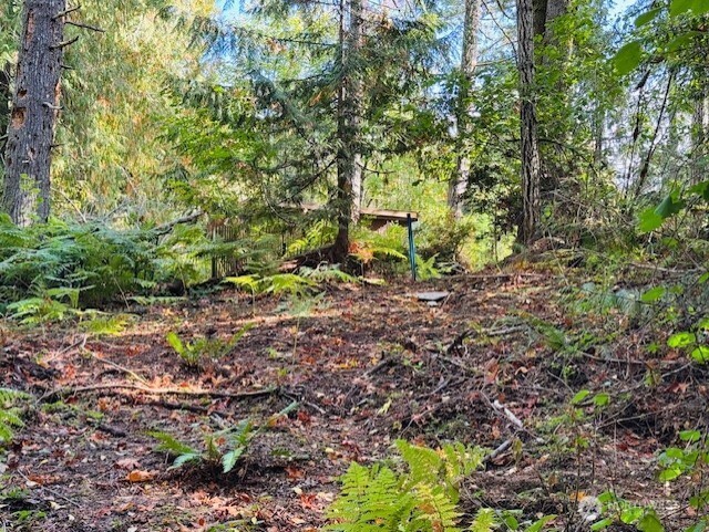0 E Agate Road Property Photo 1