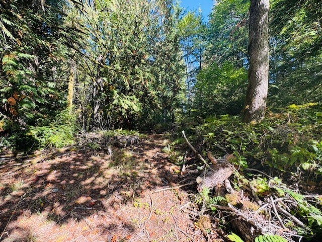 0 E Agate Road Property Photo 2