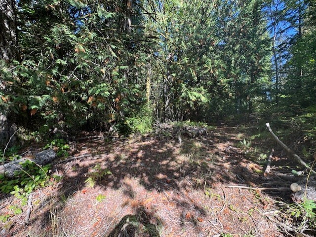 0 E Agate Road Property Photo 3