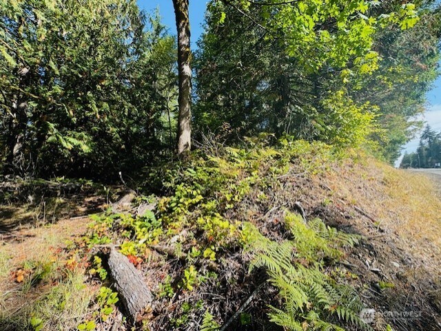 0 E Agate Road Property Photo 4