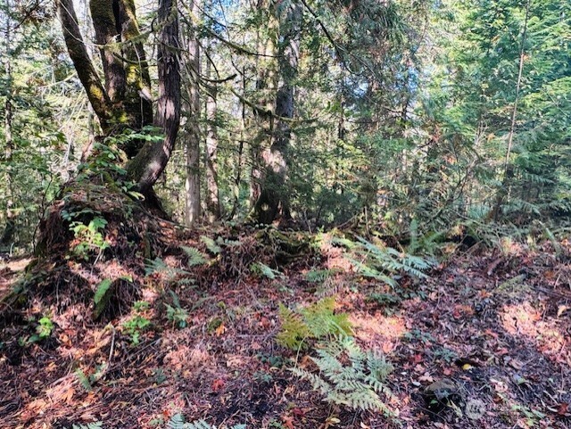 0 E Agate Road Property Photo 6