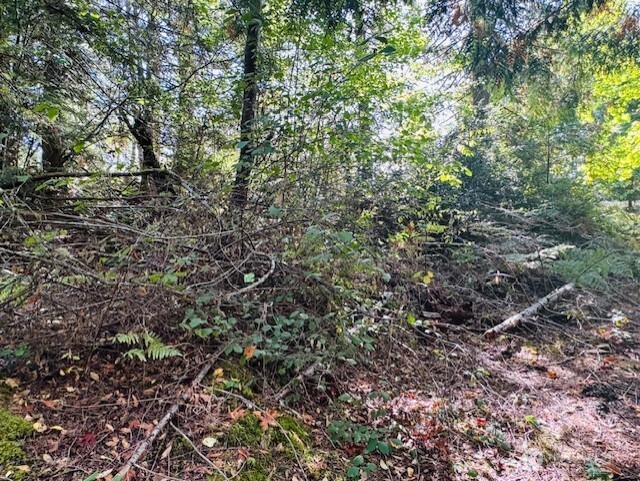0 E Agate Road Property Photo 7