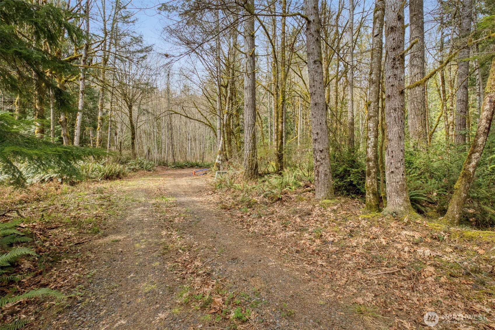 435 Nw Sword Fern Lane Property Photo 5
