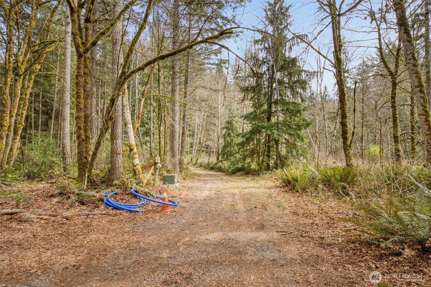 435 Nw Sword Fern Lane Property Photo 7