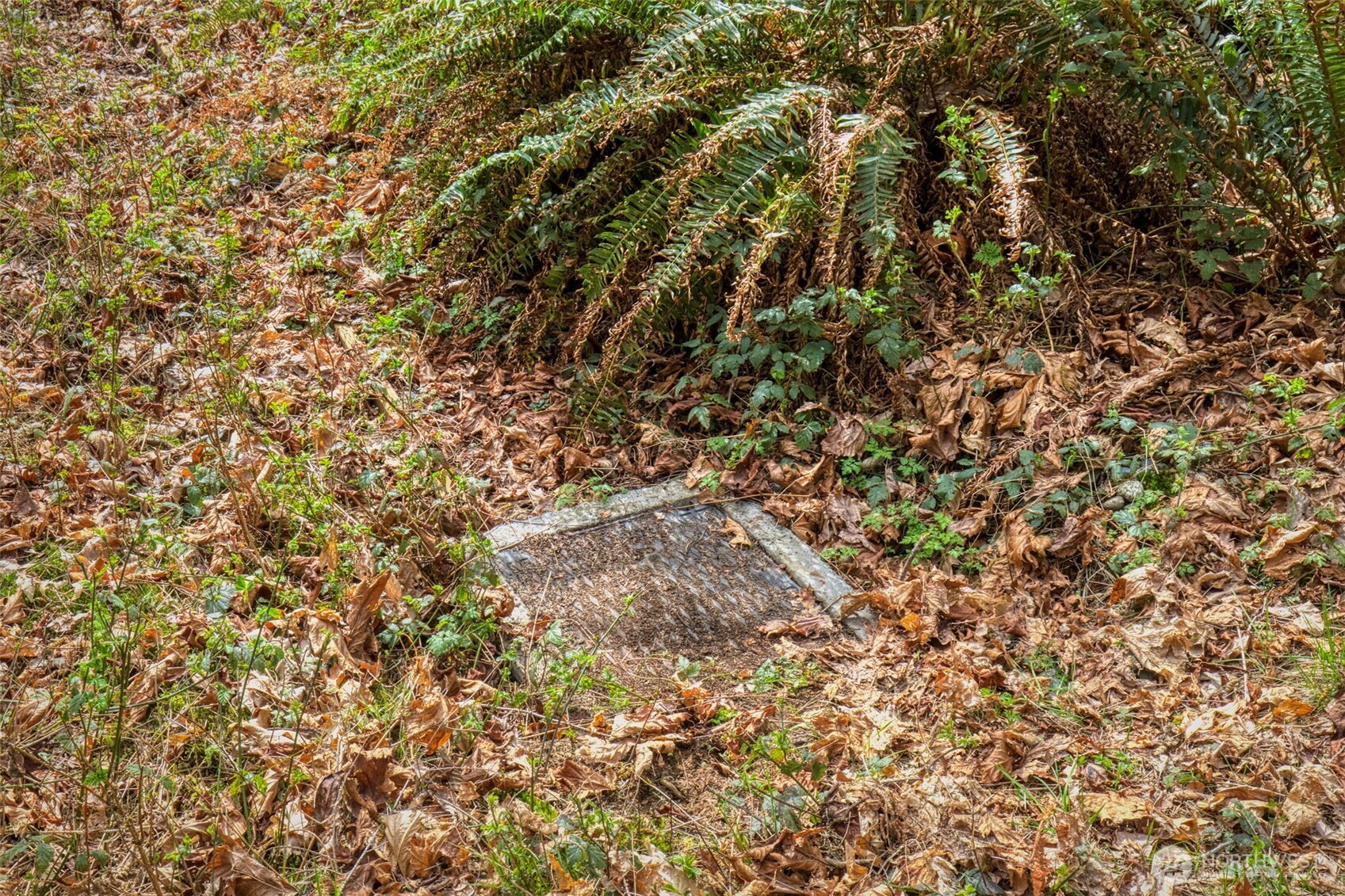 435 Nw Sword Fern Lane Property Photo 9