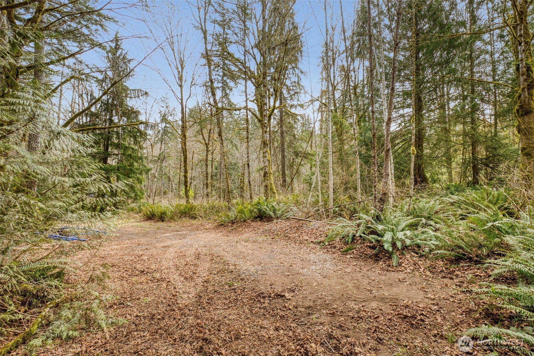 435 Nw Sword Fern Lane Property Photo 10