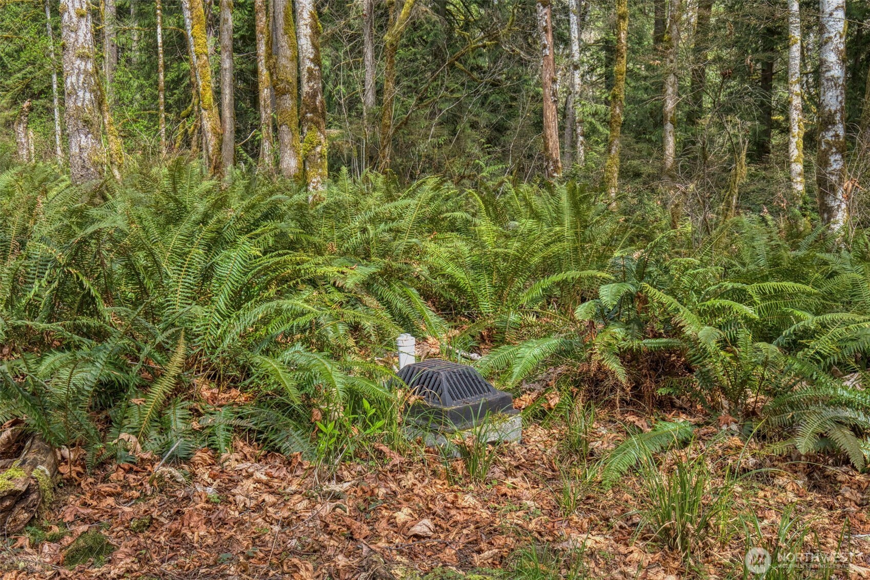 435 Nw Sword Fern Lane Property Photo 11