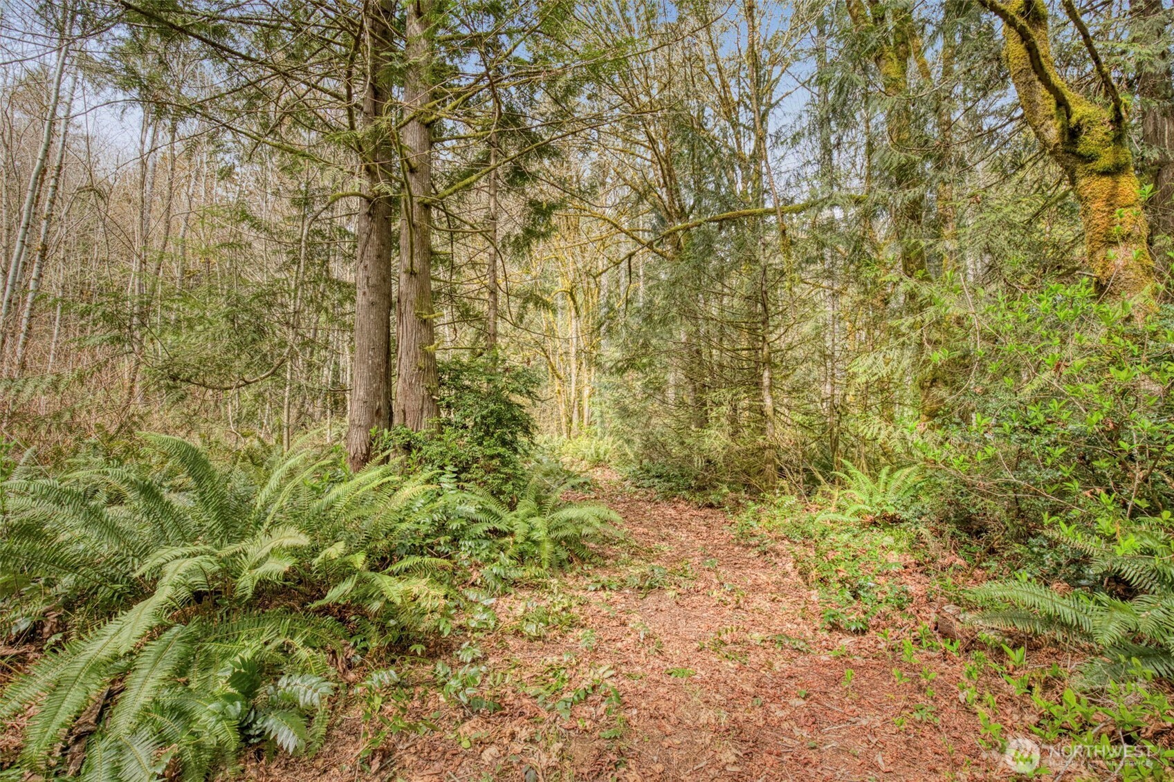 435 Nw Sword Fern Lane Property Photo 14