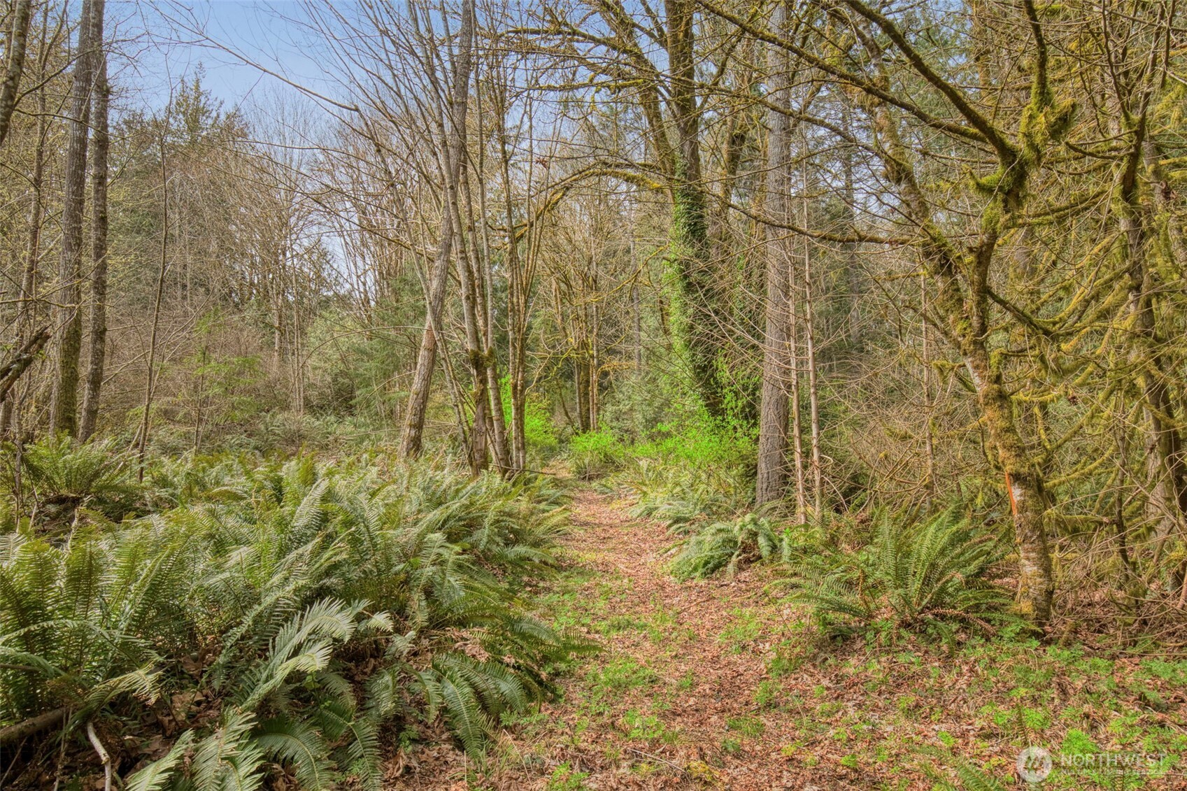 435 Nw Sword Fern Lane Property Photo 15
