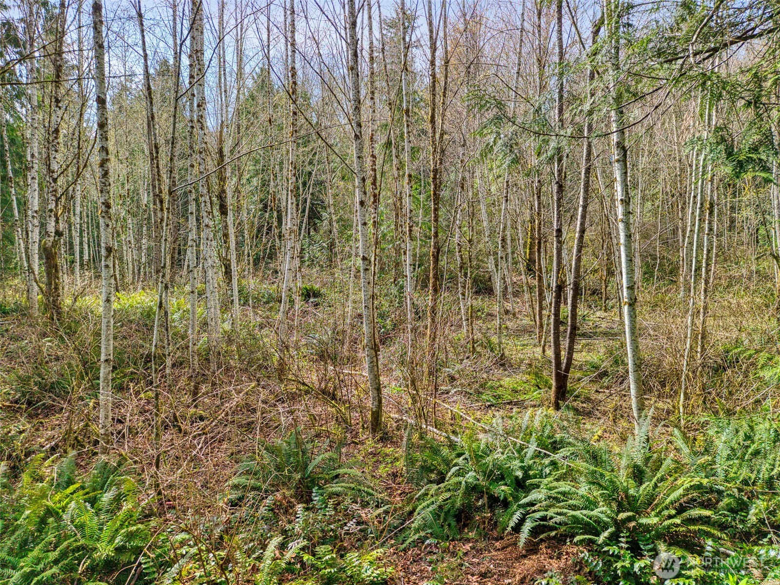 435 Nw Sword Fern Lane Property Photo 21