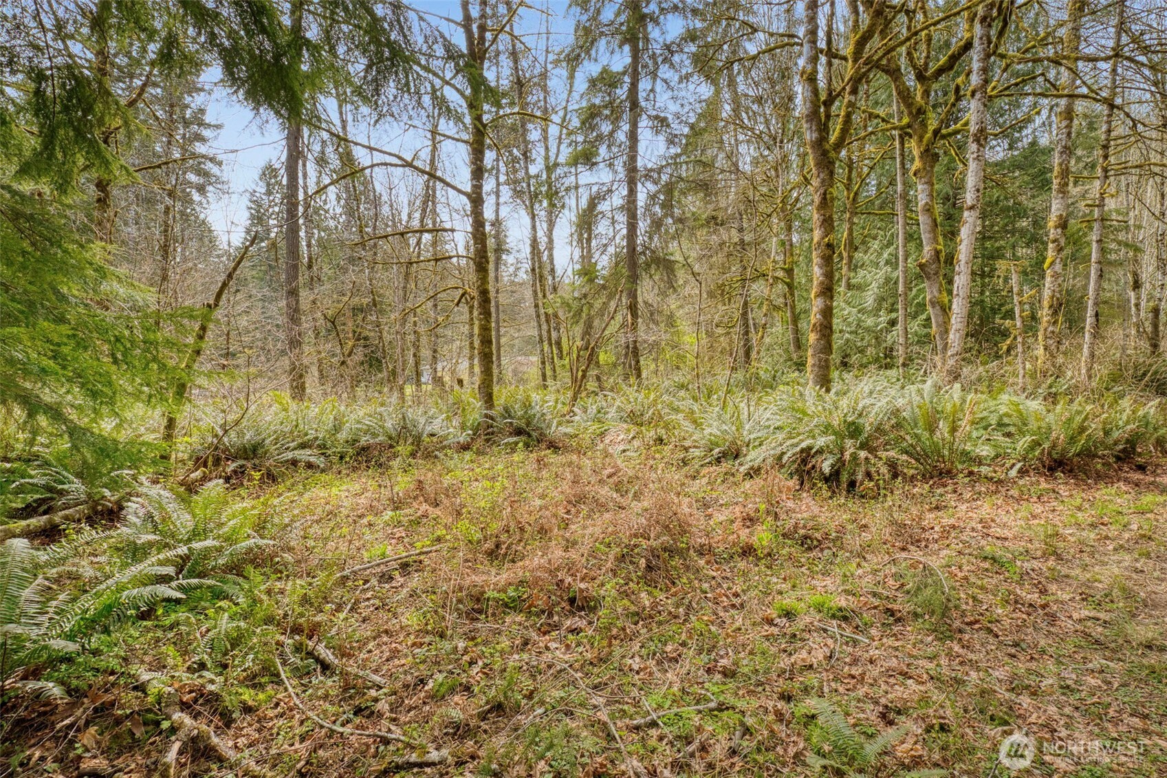 435 Nw Sword Fern Lane Property Photo 22