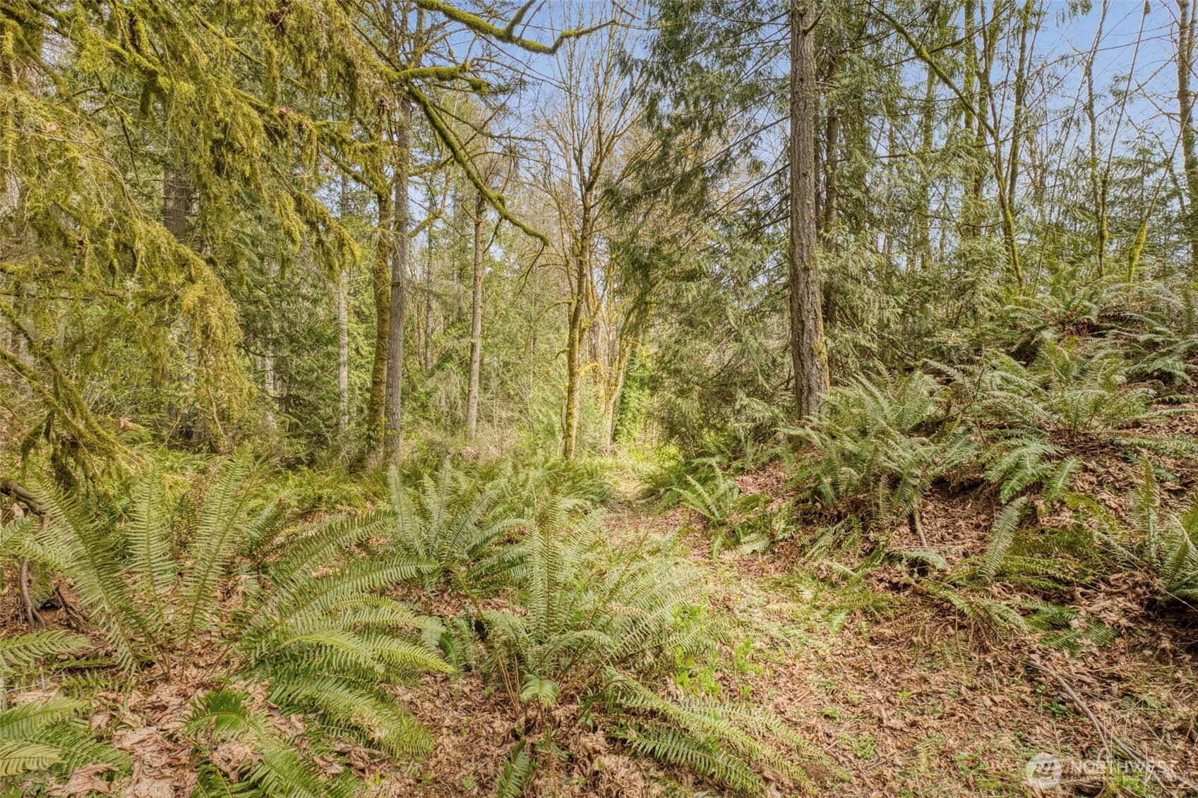 435 Nw Sword Fern Lane Property Photo 23