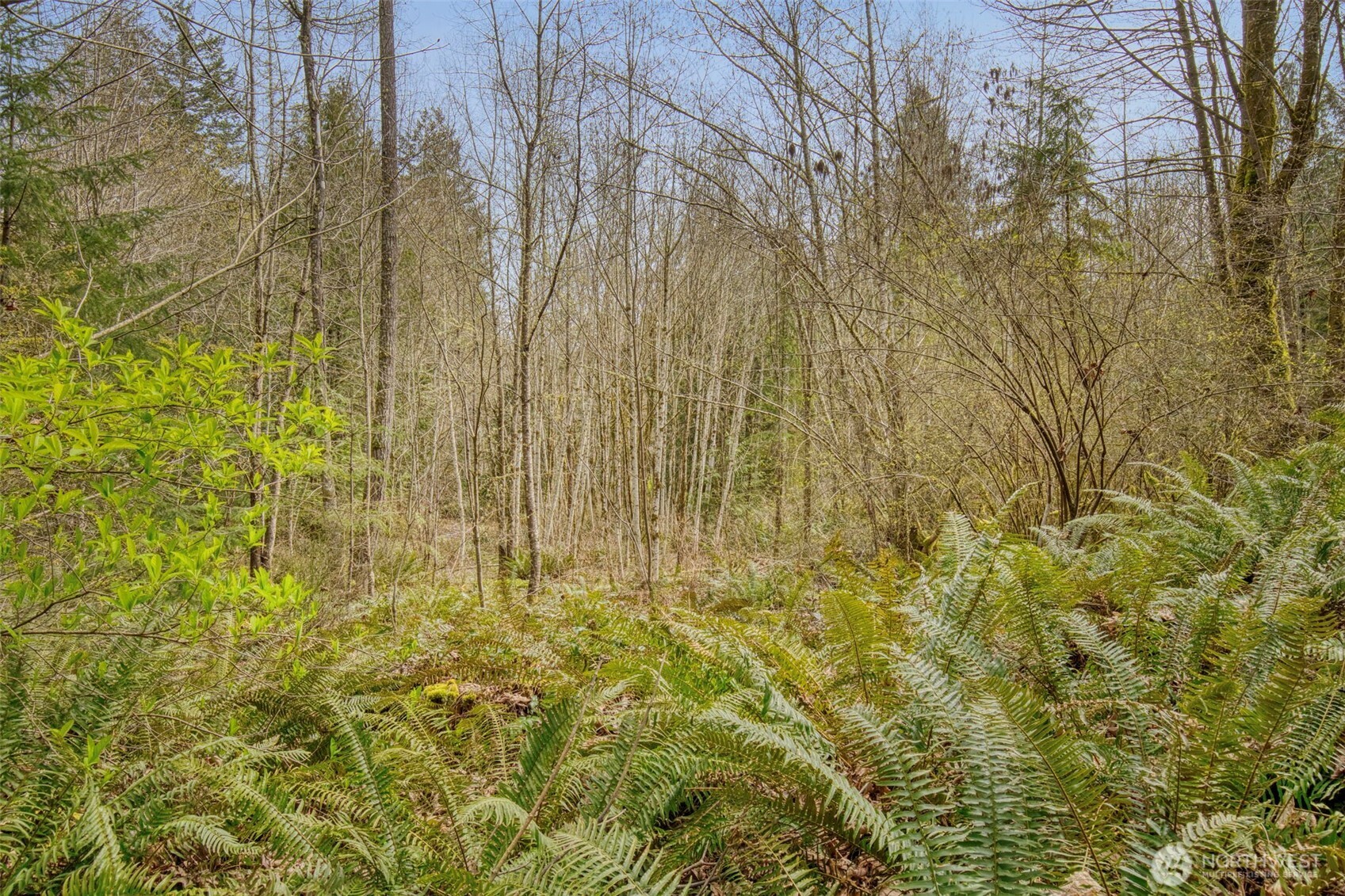 435 Nw Sword Fern Lane Property Photo 24
