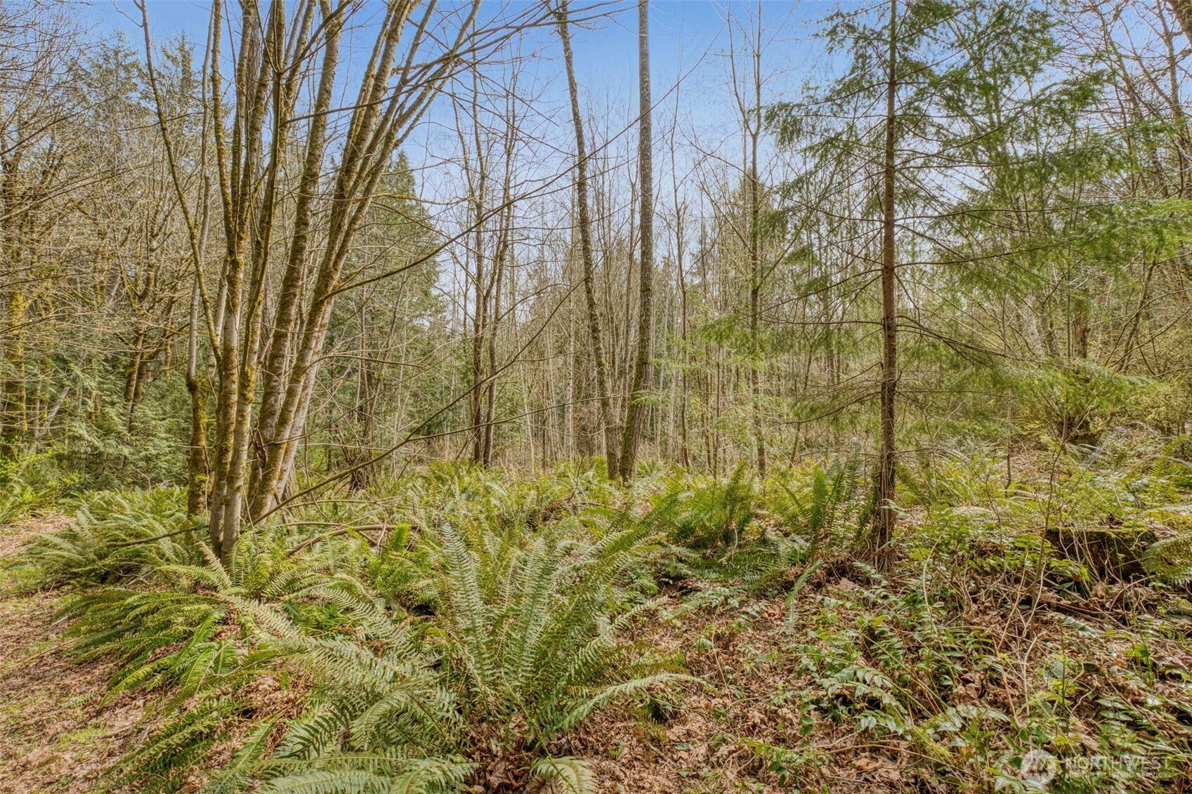 435 Nw Sword Fern Lane Property Photo 25