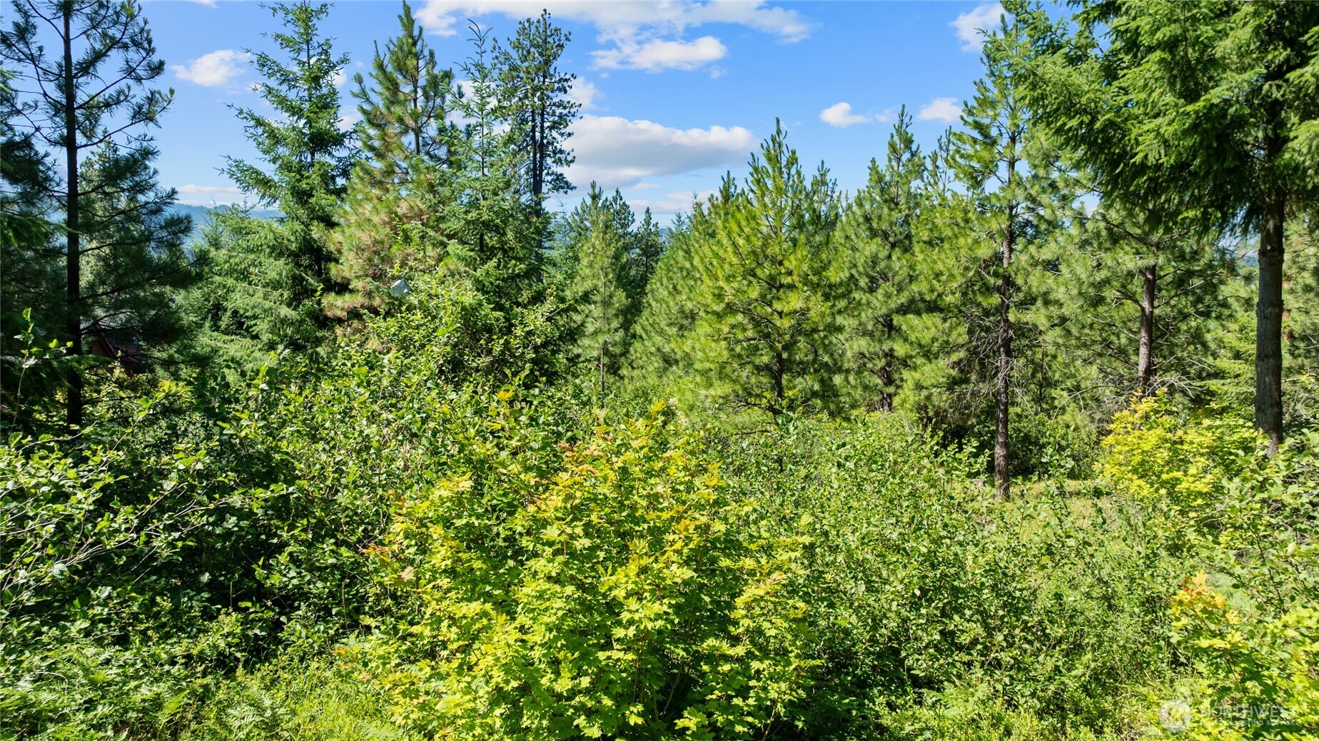 3690 Swiftwater Drive Property Photo 8