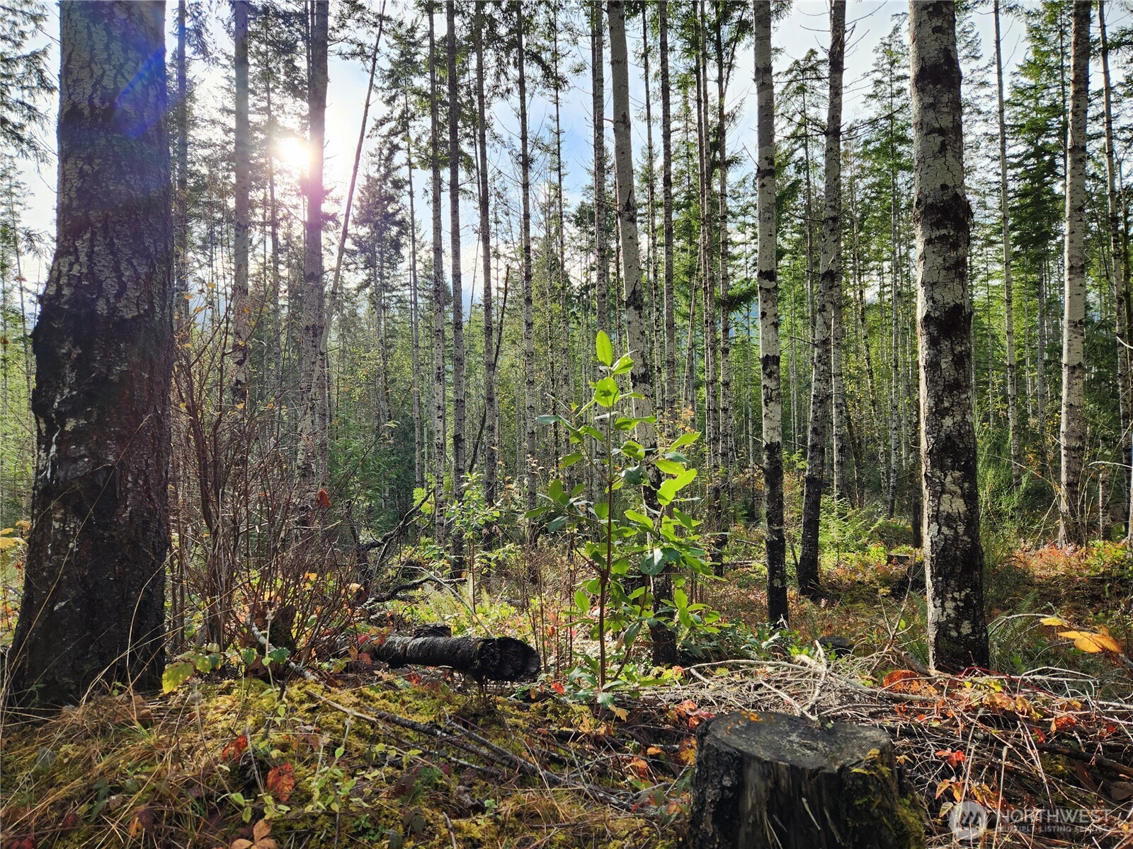 0 Rocky Brook Rd Lot I Property Photo 2