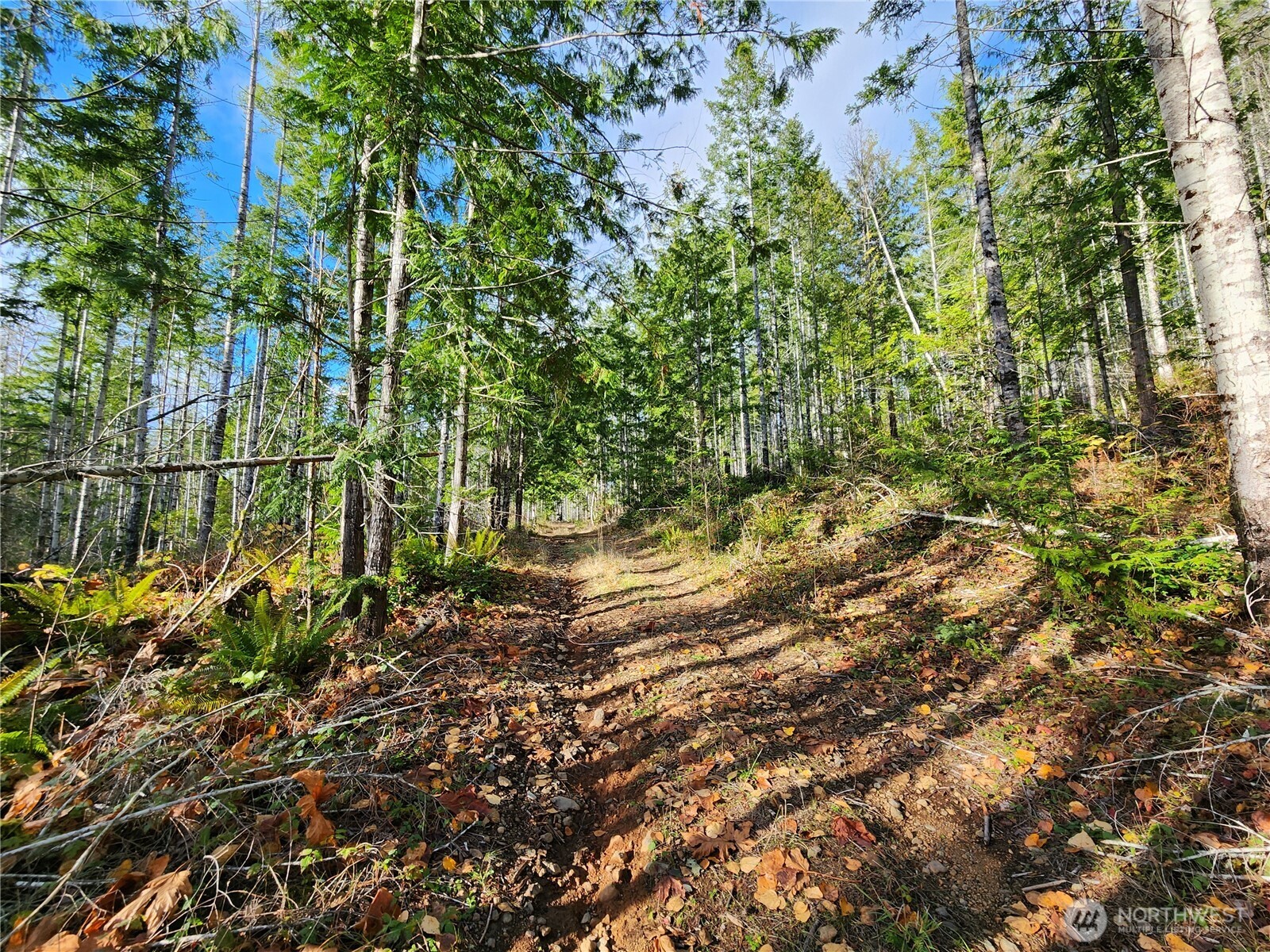 0 Rocky Brook Rd Lot I Property Photo 3