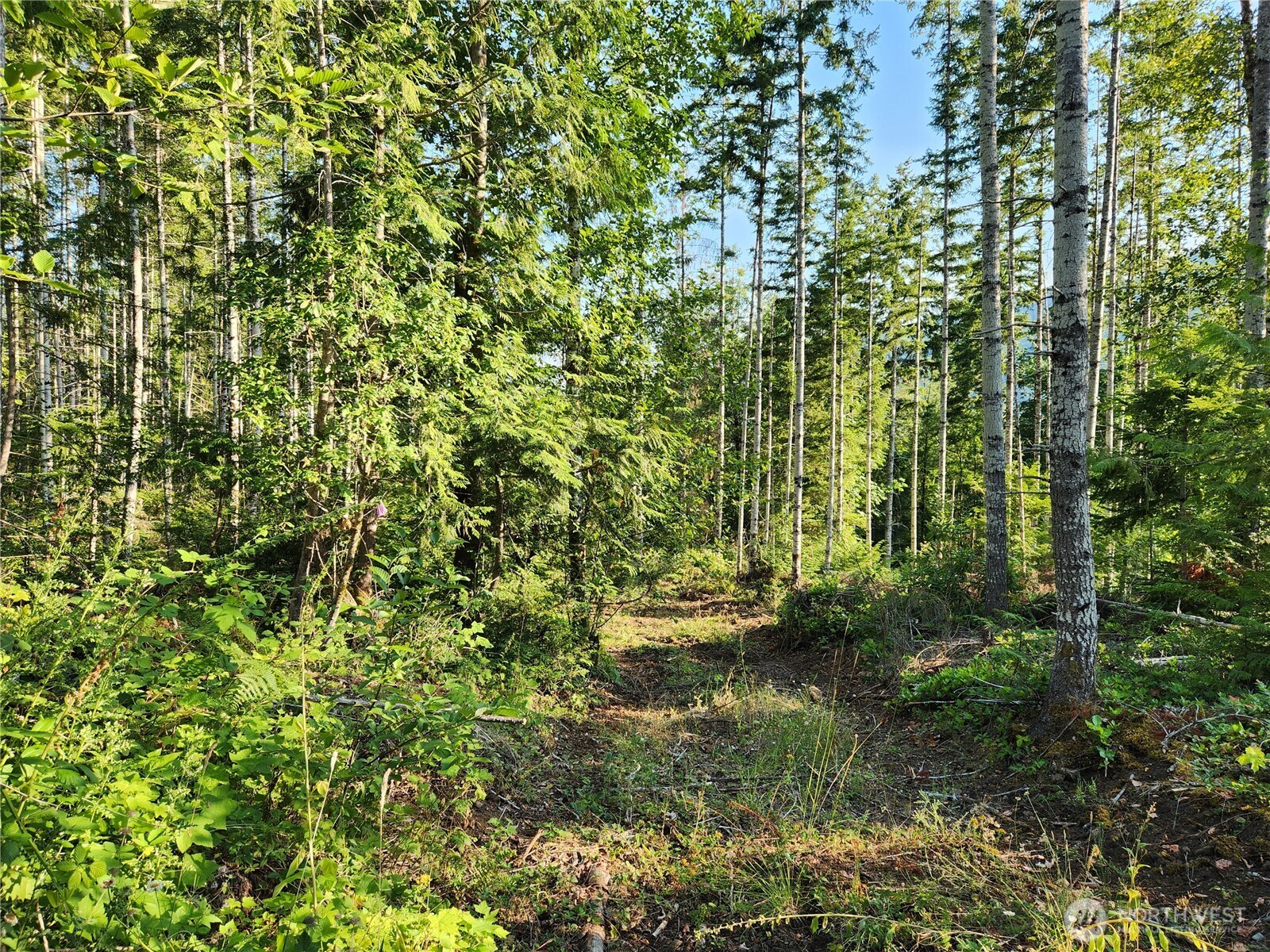 0 Rocky Brook Rd Lot I Property Photo 4
