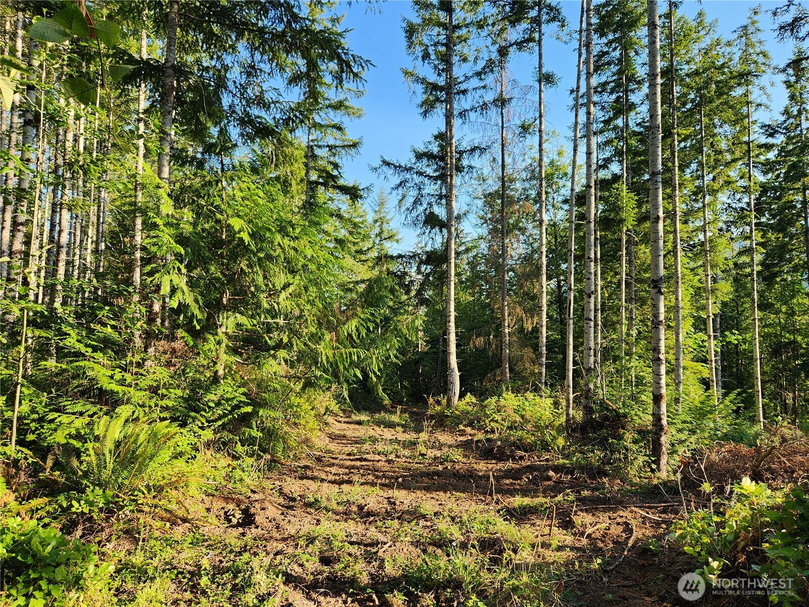 0 Rocky Brook Rd Lot I Property Photo 5