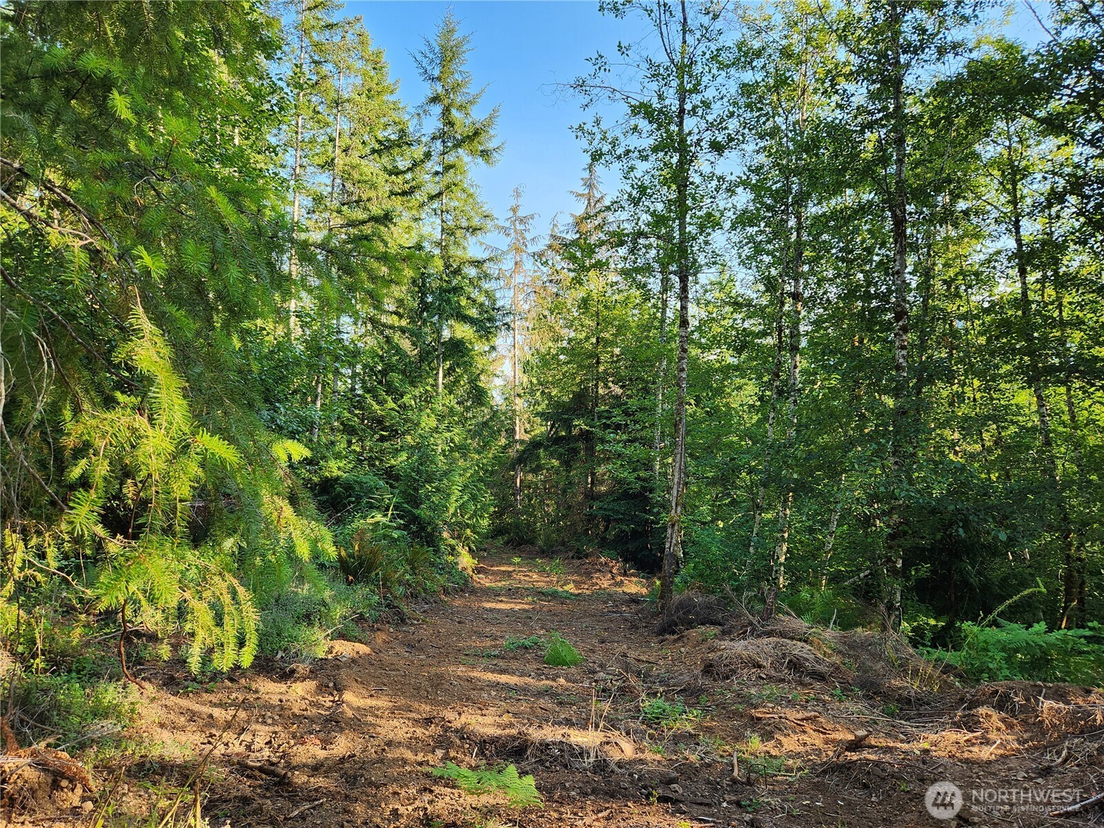 0 Rocky Brook Rd Lot I Property Photo 7