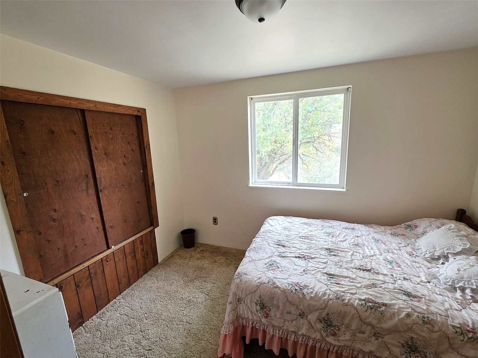 155 St. Peter's Creek Road Property Photo 17