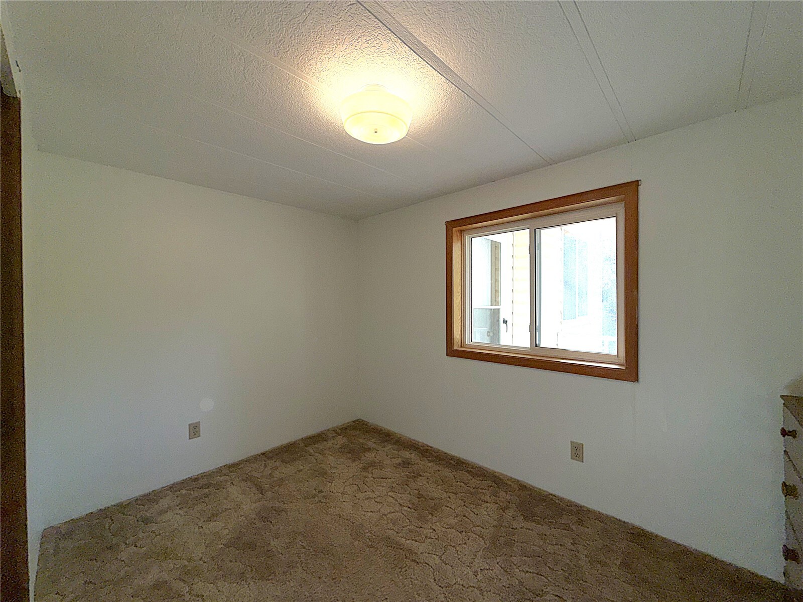 155 St. Peter's Creek Road Property Photo 18