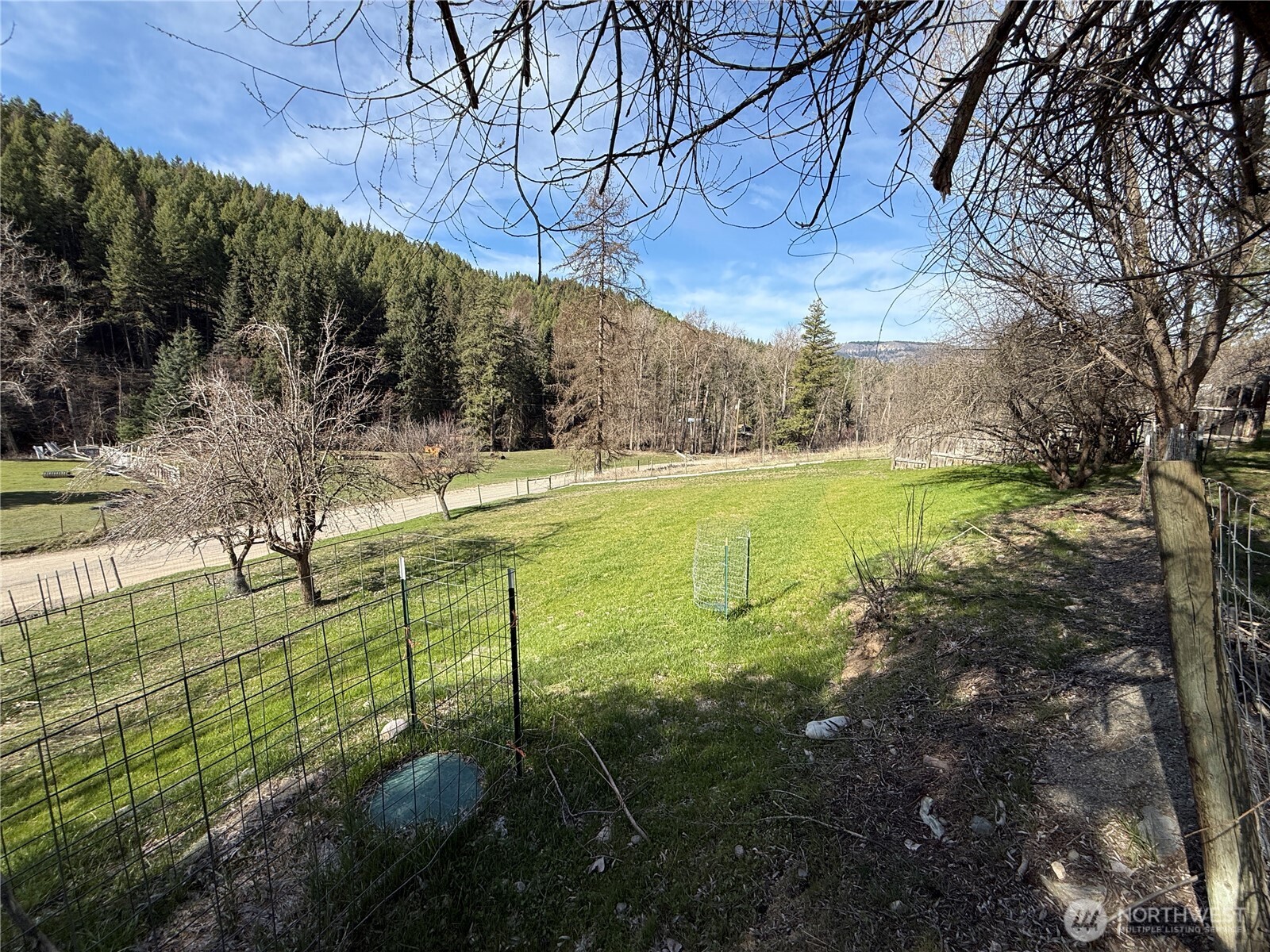 155 St. Peter's Creek Road Property Photo 28