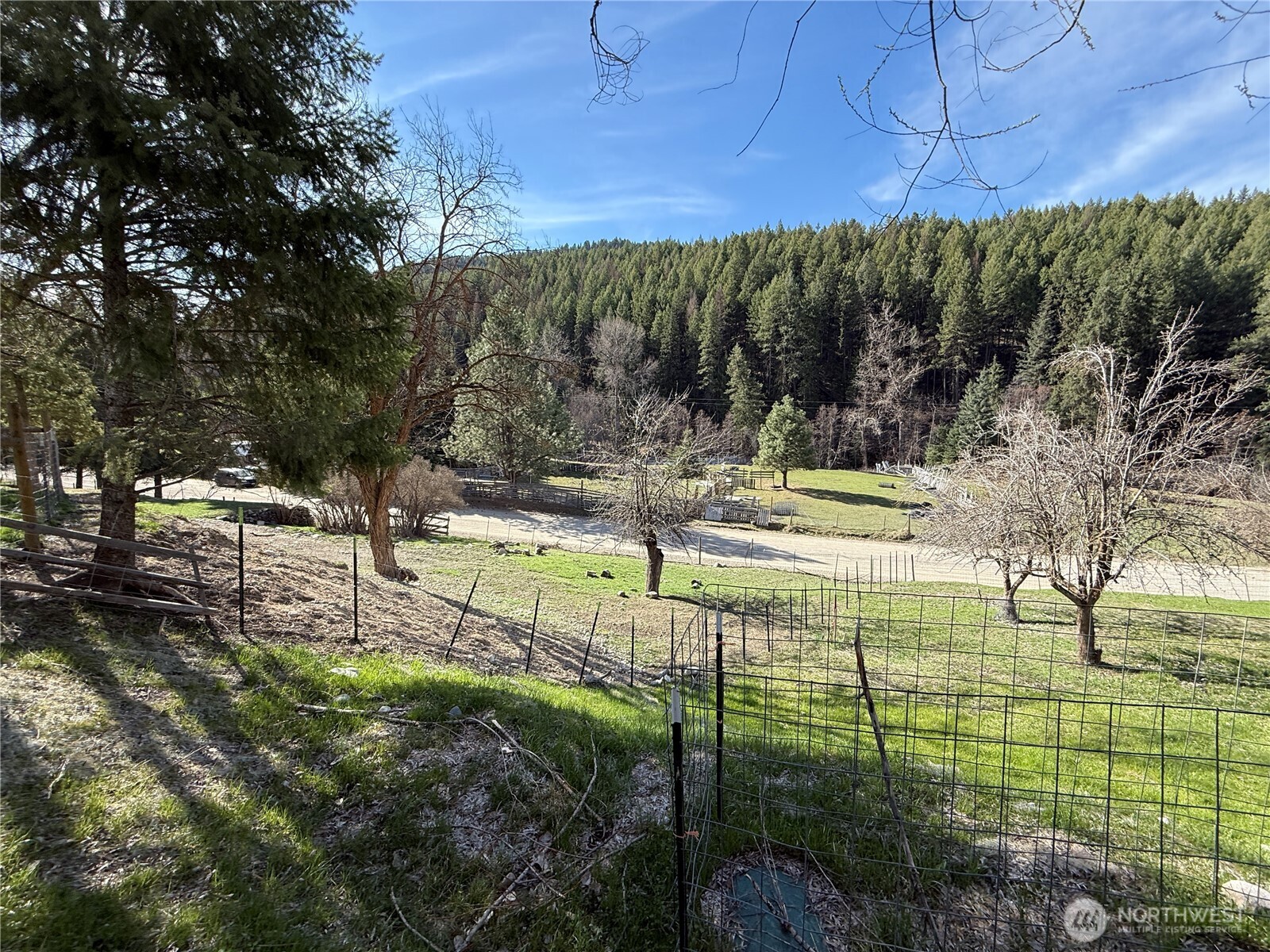 155 St. Peter's Creek Road Property Photo 29