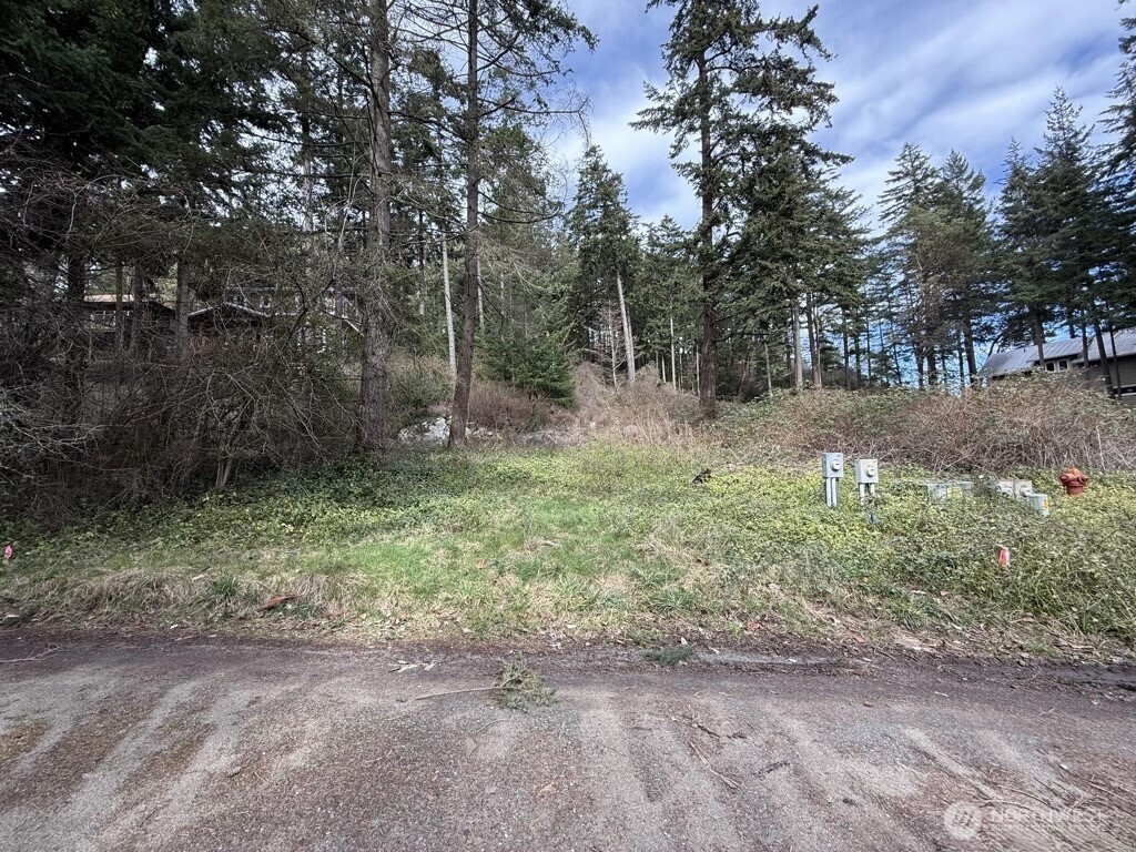 122 Geer Lane Property Photo 17