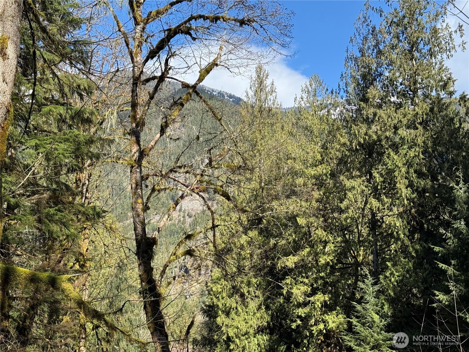 0 High Ridge Drive Property Photo 1