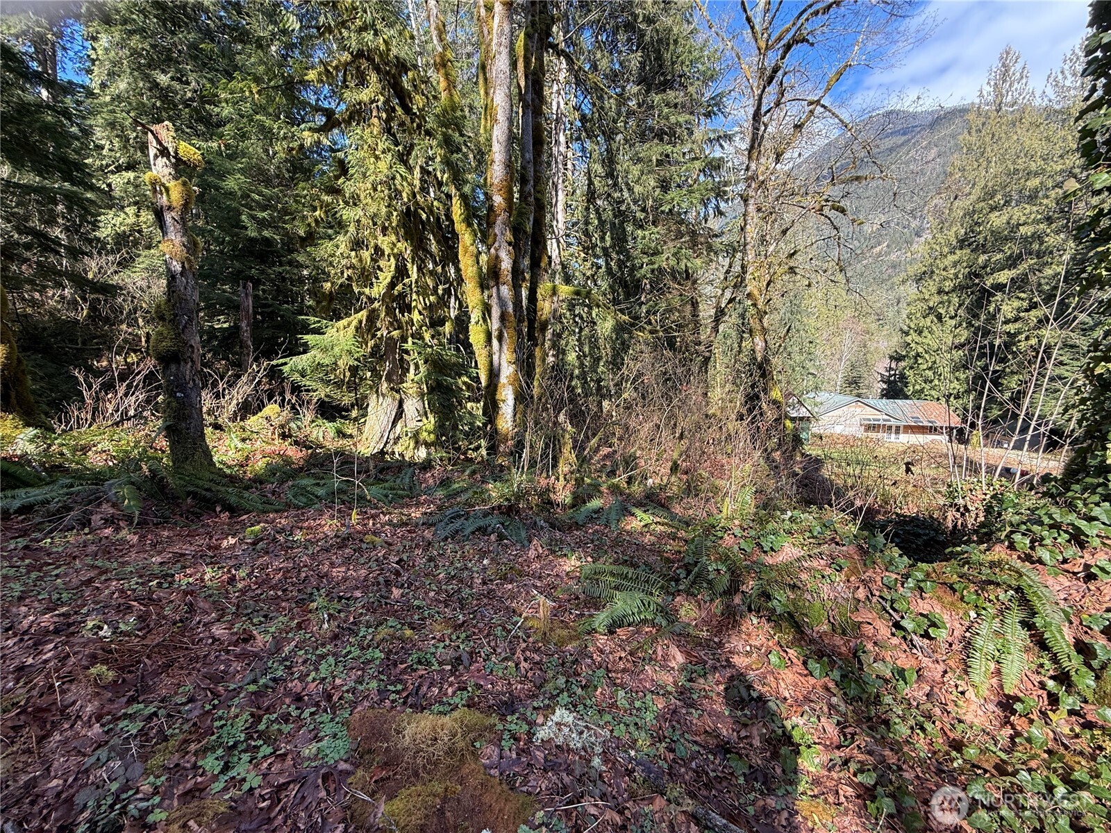 0 High Ridge Drive Property Photo 4