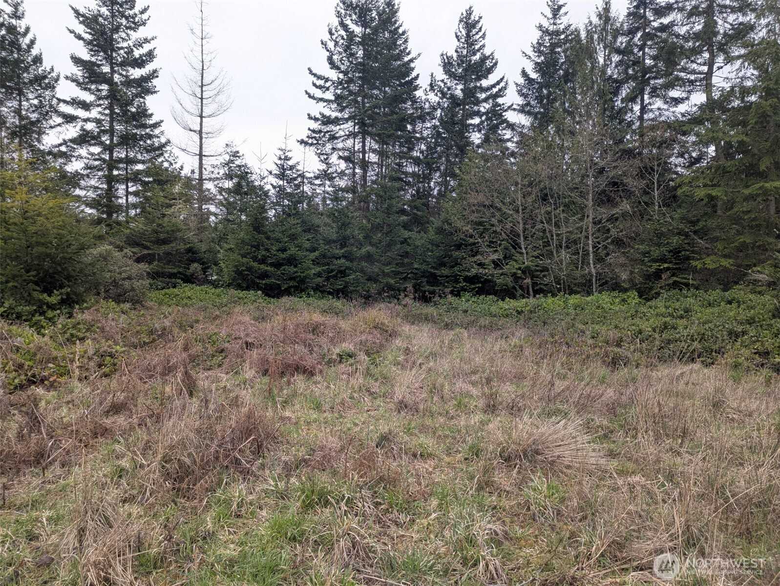 0 Critter Country Trail Property Photo 1