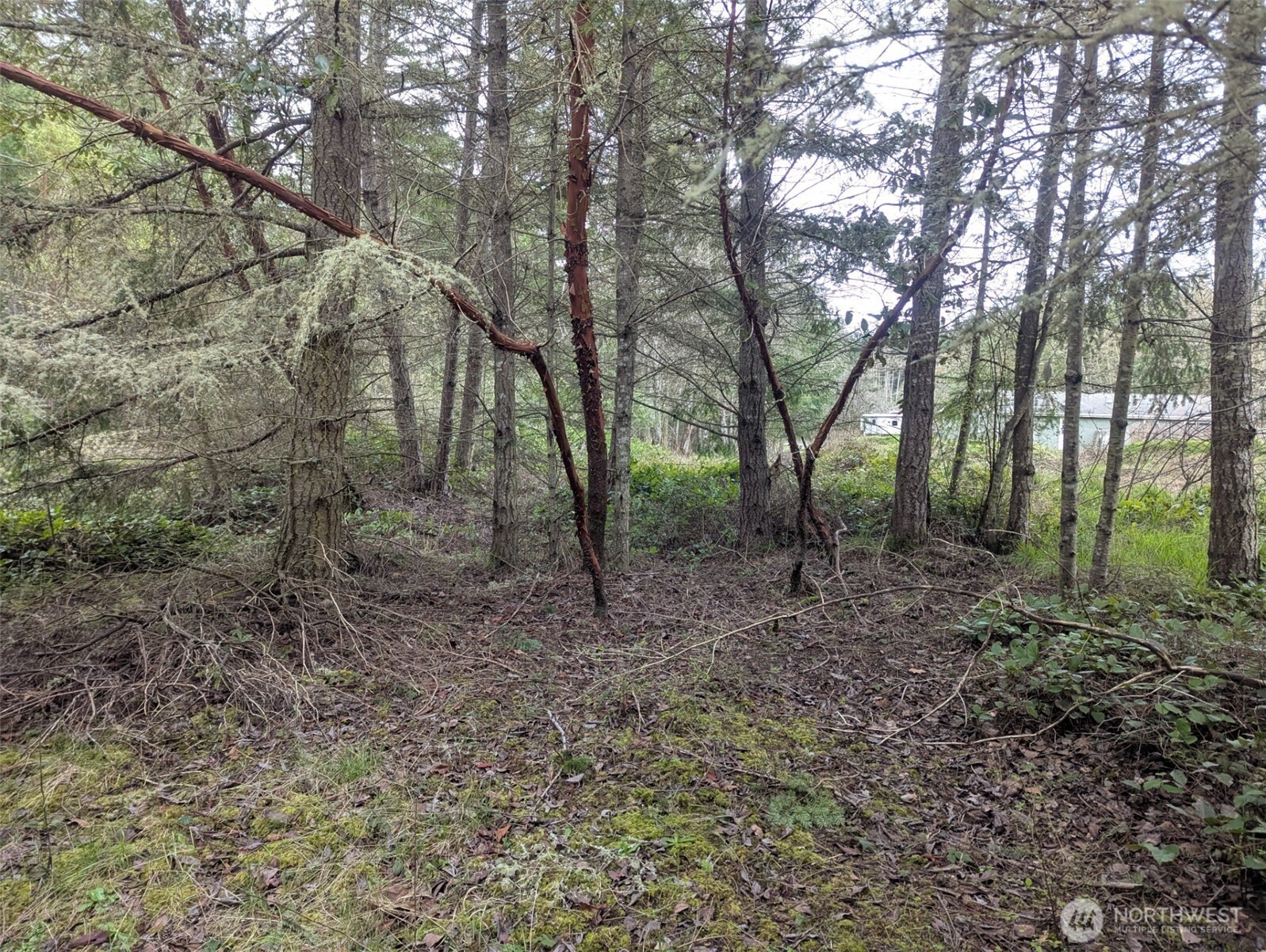 0 Critter Country Trail Property Photo 2