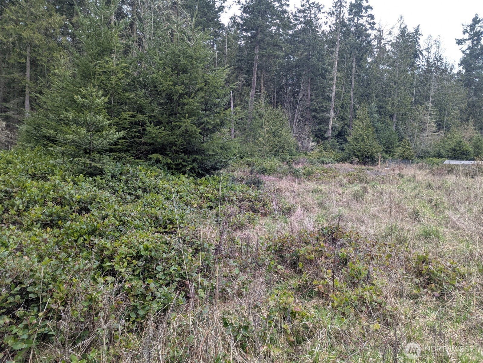 0 Critter Country Trail Property Photo 4
