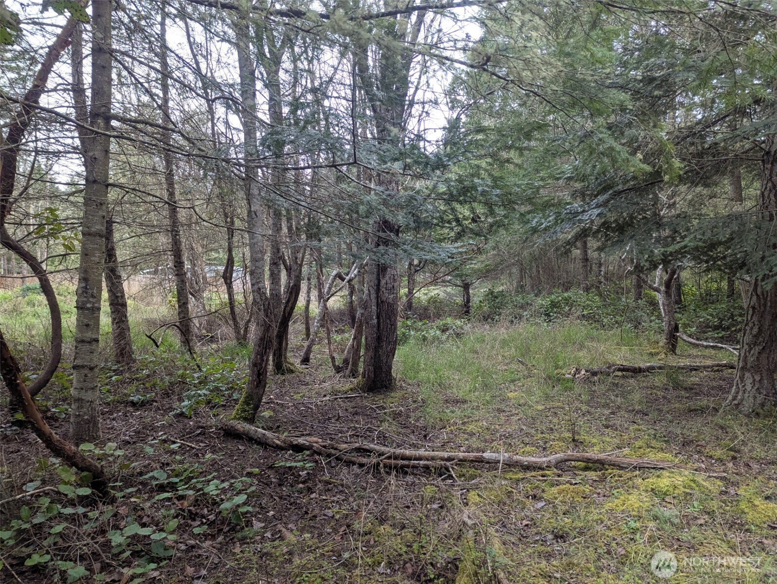 0 Critter Country Trail Property Photo 5