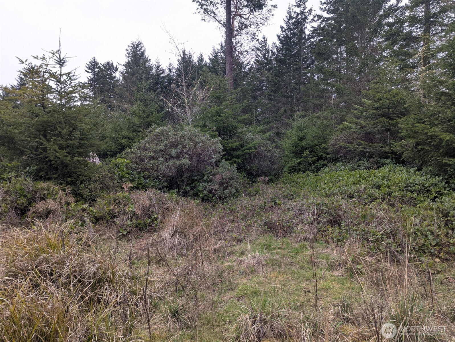 0 Critter Country Trail Property Photo 7