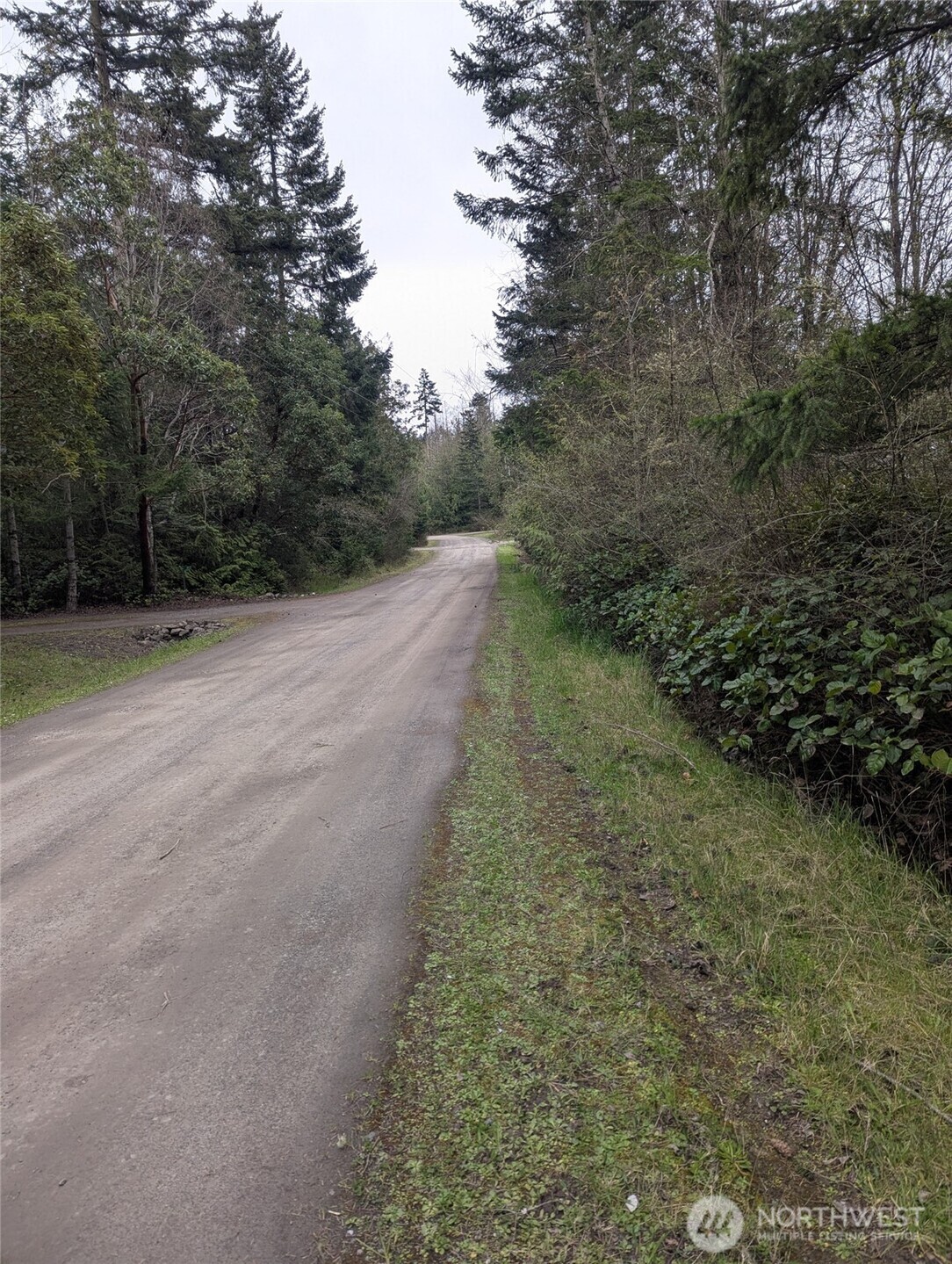 0 Critter Country Trail Property Photo 8