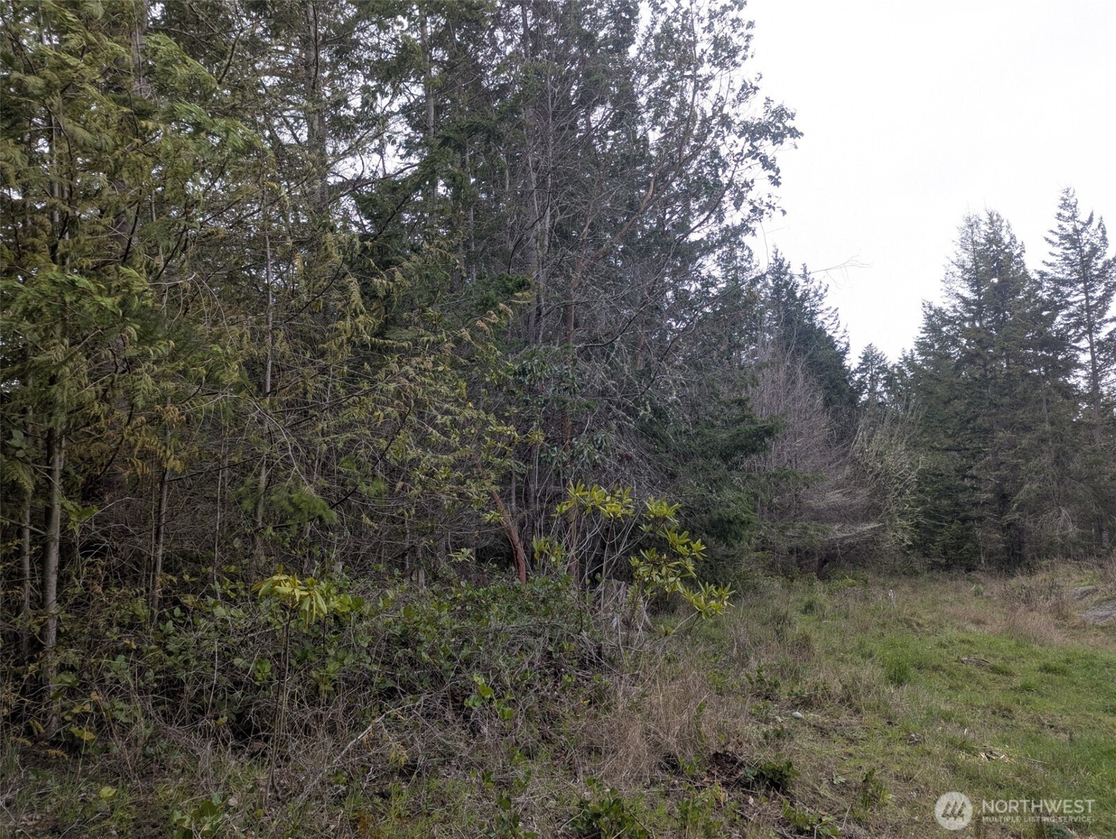 0 Critter Country Trail Property Photo 9