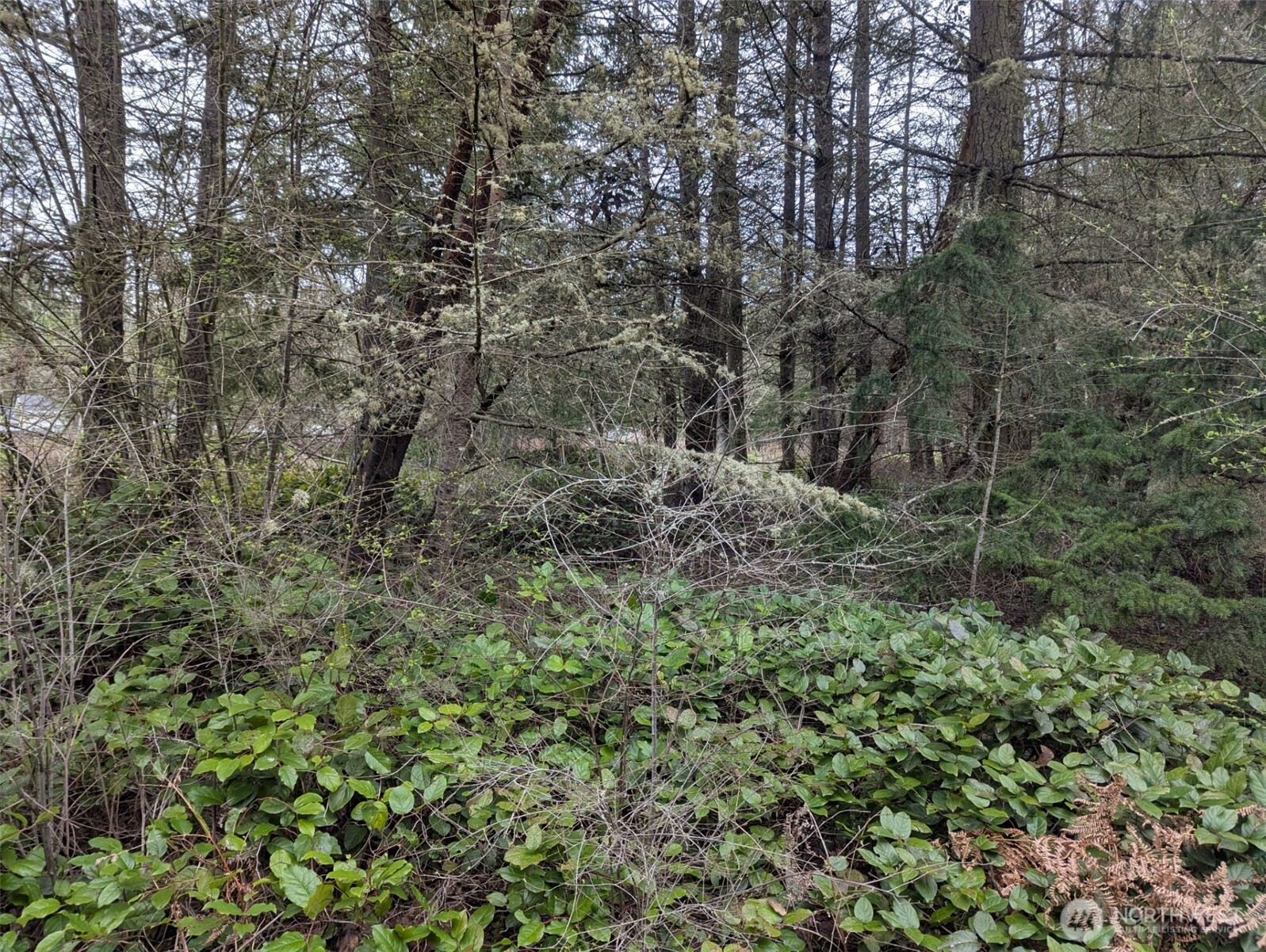 0 Critter Country Trail Property Photo 10