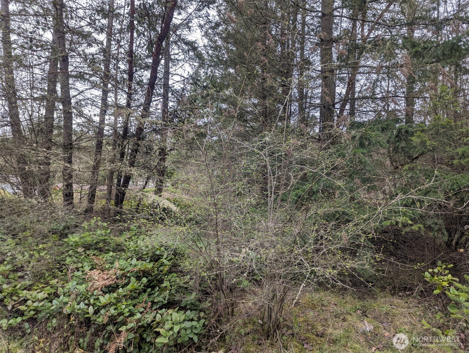0 Critter Country Trail Property Photo 12