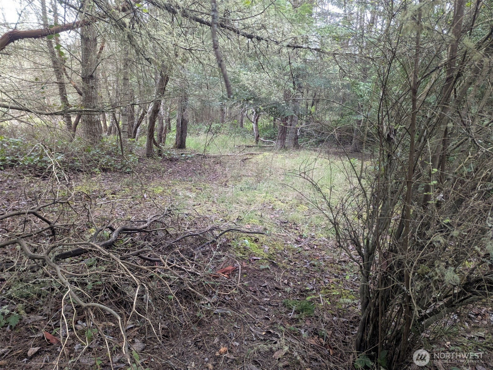 0 Critter Country Trail Property Photo 13