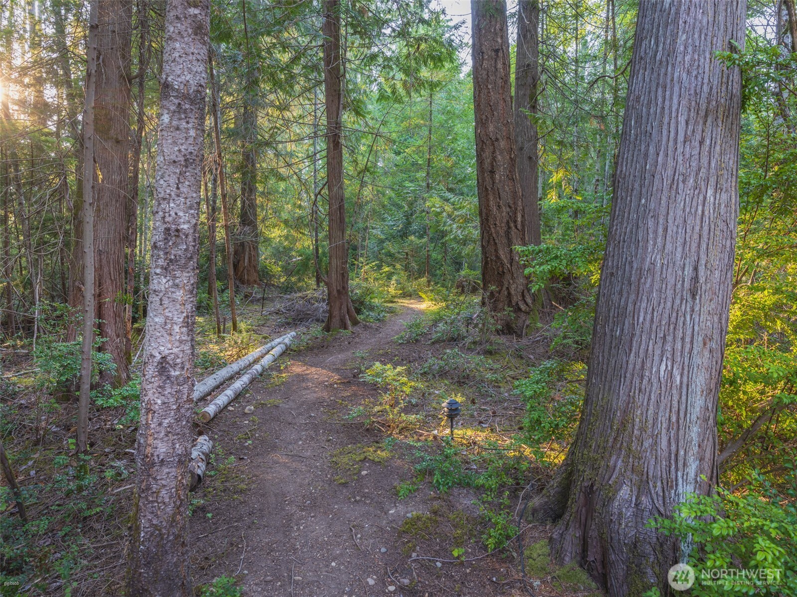 5441 E Grapeview Loop Road Property Photo 10