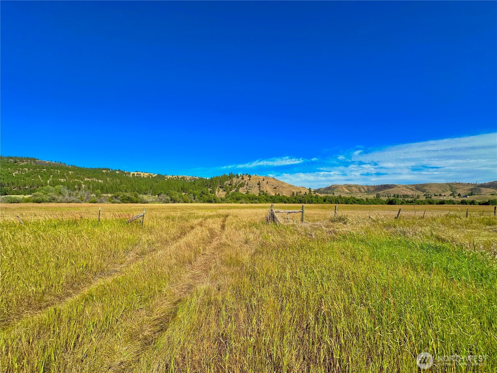 1111 Nna Hwy 155 Drive Property Photo 4