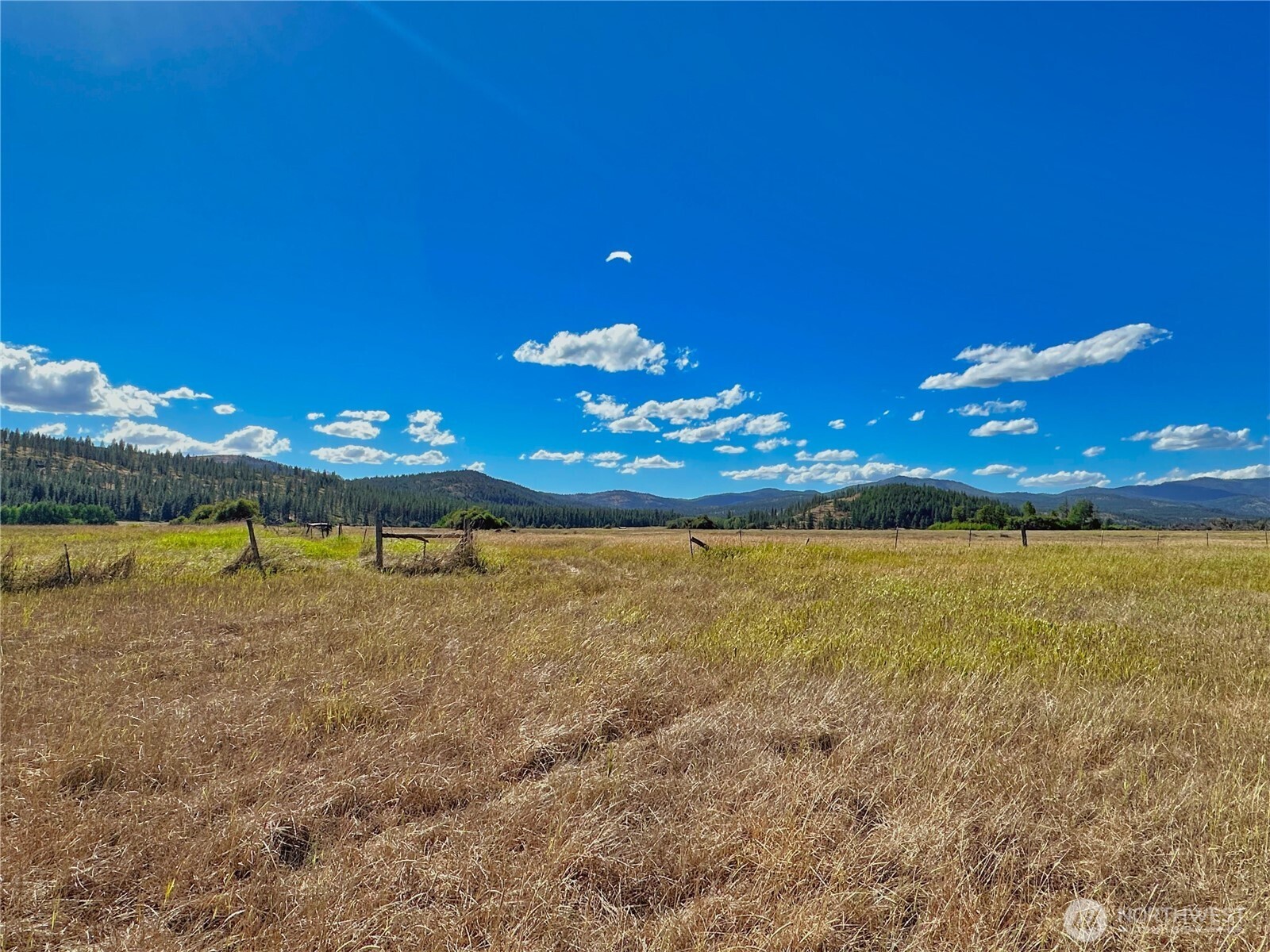 1111 Nna Hwy 155 Drive Property Photo 12